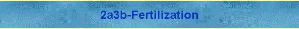 2a3b-Fertilization