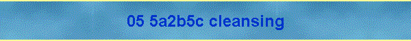 05 5a2b5c cleansing