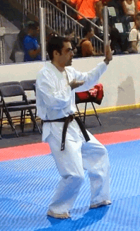 paint-~1.gif